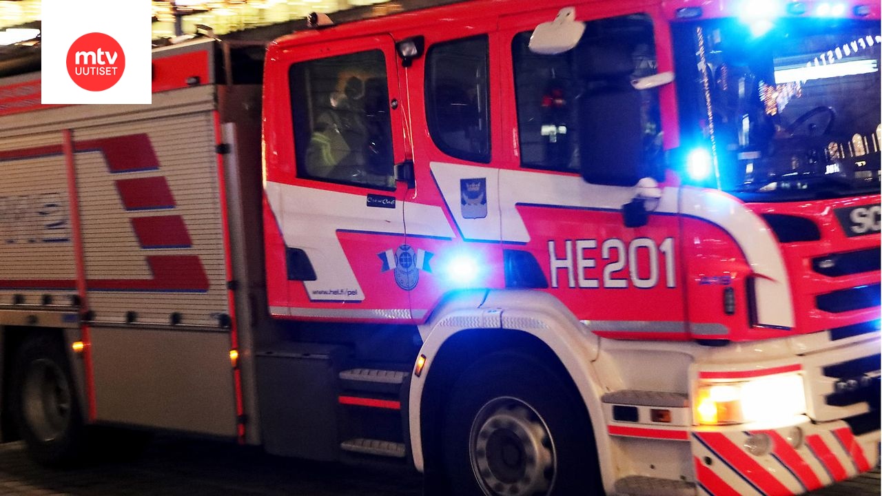 Kaksi koiraa kuoli tulipalossa Tuusulassa, yksi pelastettiin – kuvituskuva