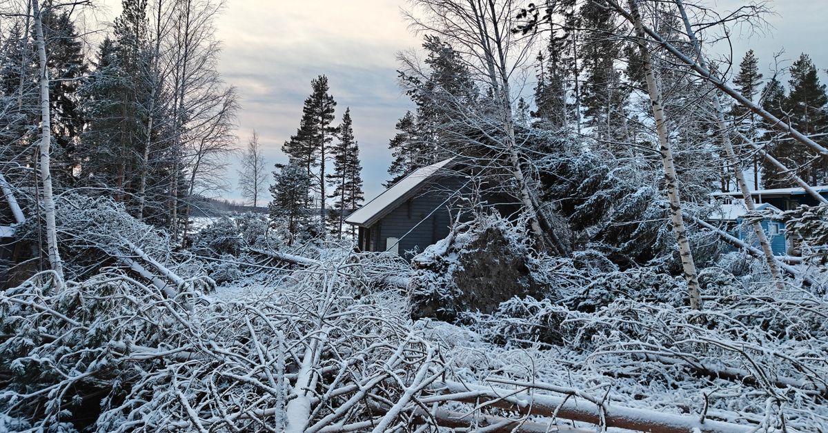 Pieni sähköyhtiö Kruunupyyssä menetti liki miljoonan Hannes-myrskyn sähkökatkoissa – kuvituskuva